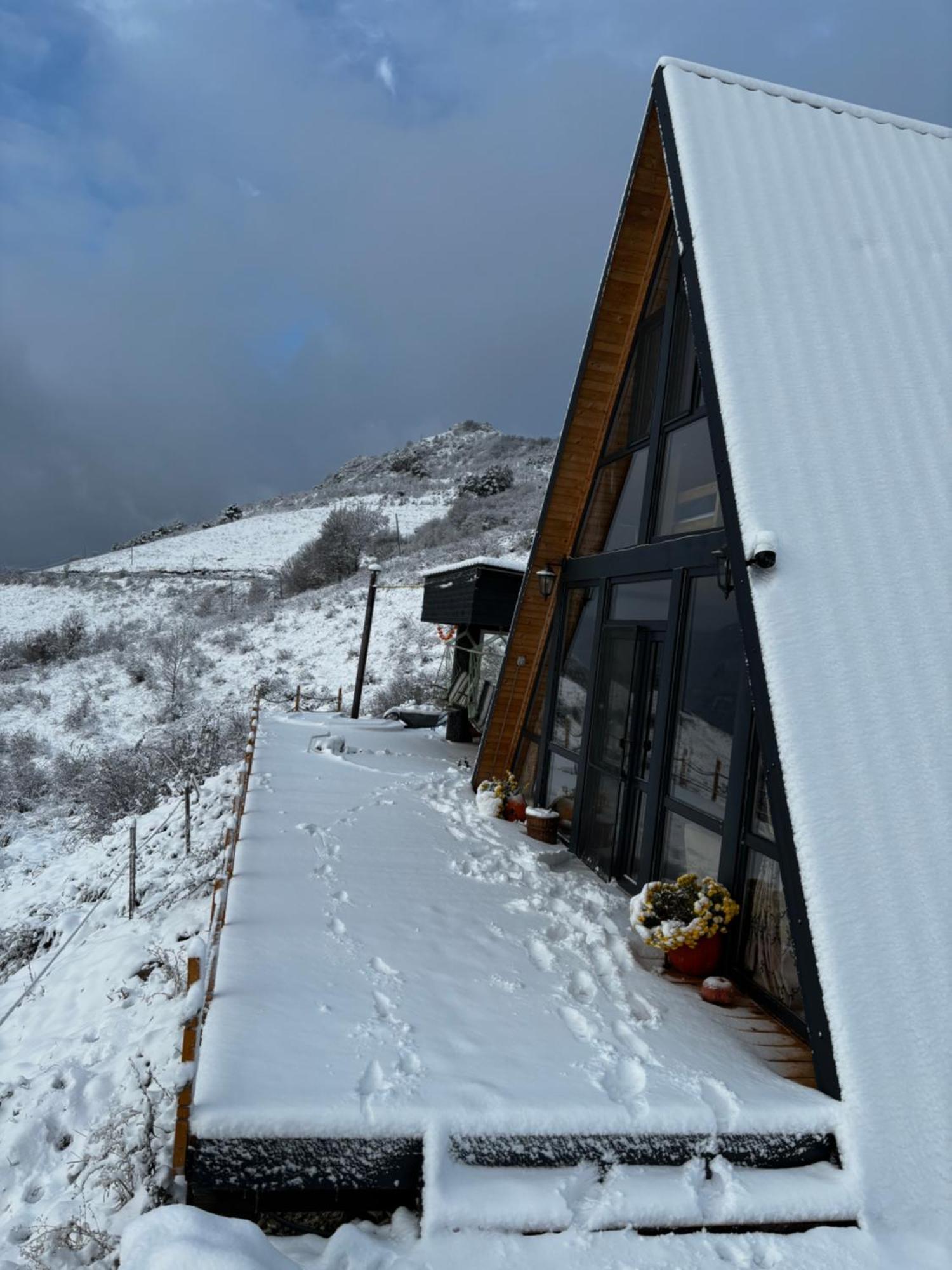 Dream View Of Apuseni Holiday home