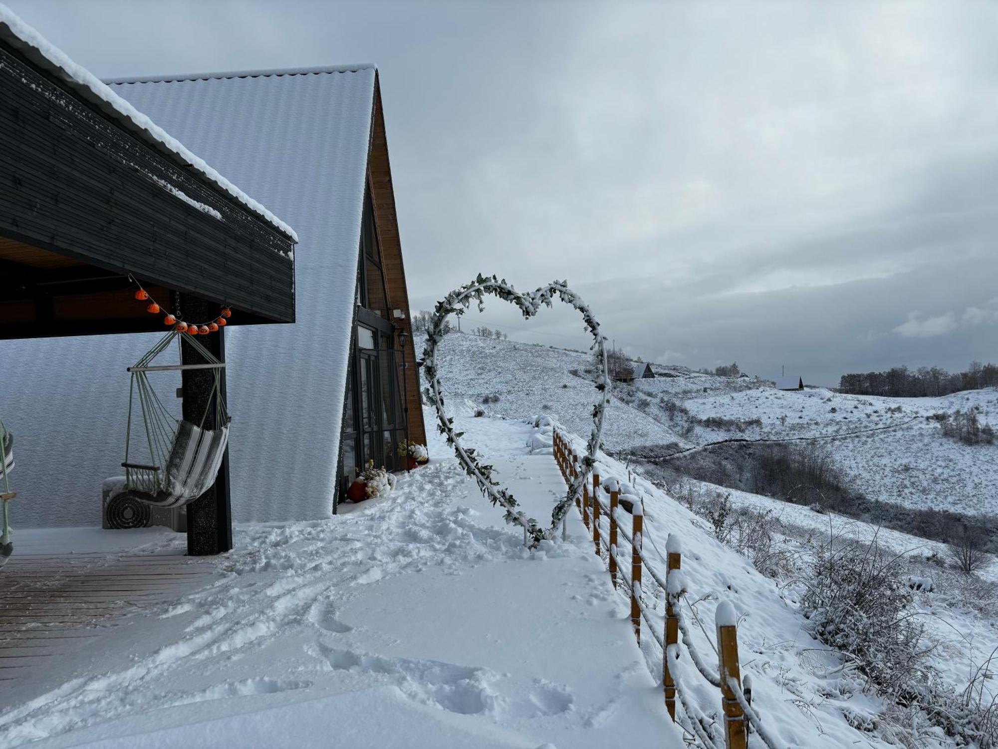 Dream View Of Apuseni Holiday home